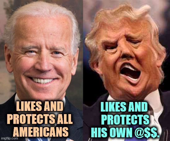 Biden, president of all the people. Trump, president of all who voted for him, and not even all of them. | LIKES AND 
PROTECTS ALL 
AMERICANS; LIKES AND 
PROTECTS
HIS OWN @$$. | image tagged in biden solid stable trump acid drugs,biden,america,trump,selfishness | made w/ Imgflip meme maker