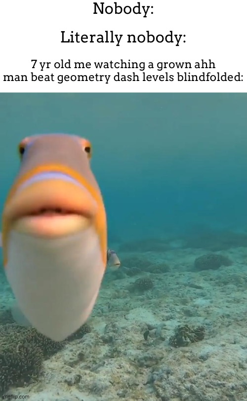 staring fish | Nobody:; Literally nobody:; 7 yr old me watching a grown ahh man beat geometry dash levels blindfolded: | image tagged in staring fish | made w/ Imgflip meme maker