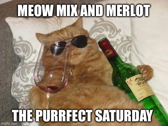 Meow mix and merlot | MEOW MIX AND MERLOT; THE PURRFECT SATURDAY | image tagged in funny cat birthday,cat,cats,cat memes,cat meme,wine | made w/ Imgflip meme maker