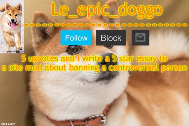 epic doggo's temp back in old fashion | 5 upvotes and I write a 5 star essay to a site mod about banning a controversial person | image tagged in im still doing it either way i just want cliut,clout,i mean | made w/ Imgflip meme maker