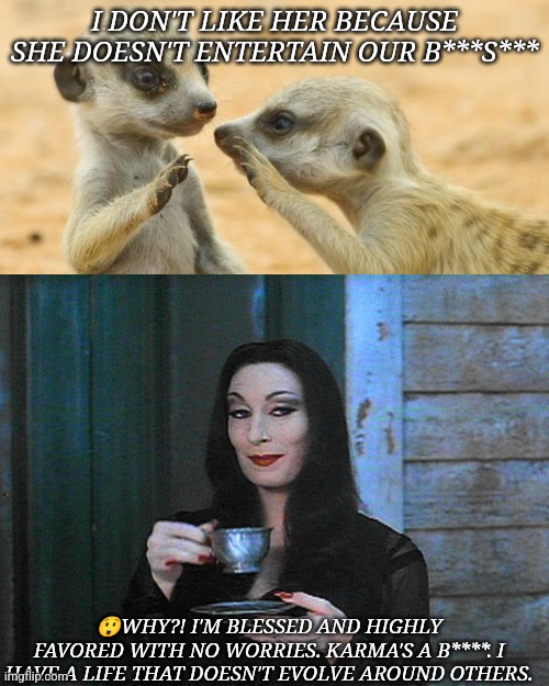 Gossip | I DON'T LIKE HER BECAUSE SHE DOESN'T ENTERTAIN OUR B***S***; 😲WHY?! I'M BLESSED AND HIGHLY FAVORED WITH NO WORRIES. KARMA'S A B****. I HAVE A LIFE THAT DOESN'T EVOLVE AROUND OTHERS. | image tagged in gossip meerkats,morticia addams | made w/ Imgflip meme maker