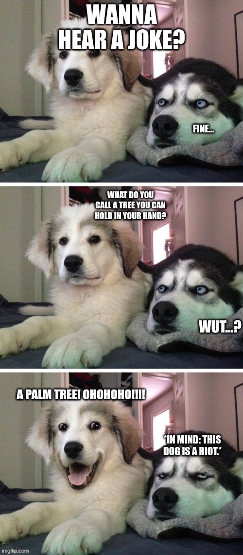 can you even hold a palm tree? (Btw imgflip, I know this is a repost but it’s the same me) | image tagged in bad pun dog,bad pun | made w/ Imgflip meme maker