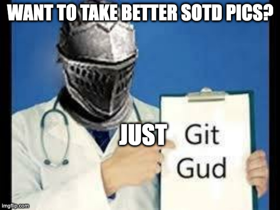 Git GUd | WANT TO TAKE BETTER SOTD PICS? JUST | image tagged in git gud | made w/ Imgflip meme maker
