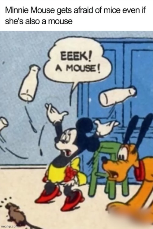 To be fair, you too would be terrified if you saw a small naked human run across your house. | image tagged in minnie mouse,mouse,cartoon logic | made w/ Imgflip meme maker