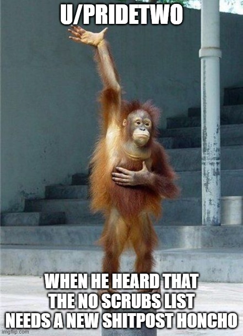 Monkey Raising Hand | U/PRIDETWO; WHEN HE HEARD THAT THE NO SCRUBS LIST NEEDS A NEW SHITPOST HONCHO | image tagged in monkey raising hand | made w/ Imgflip meme maker