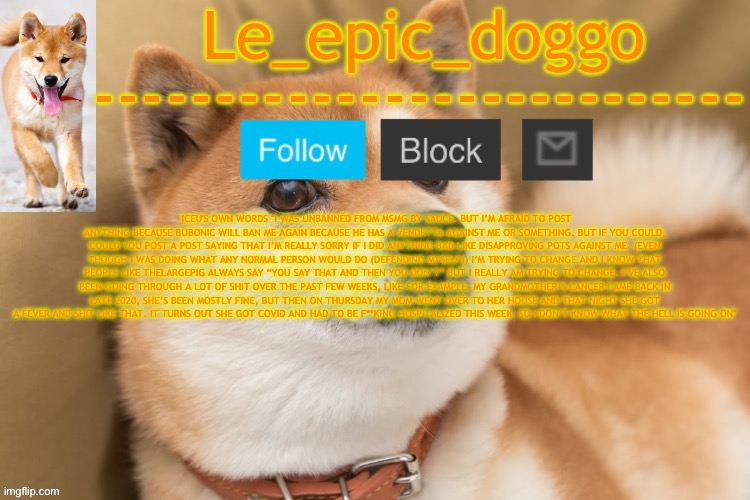 epic doggo's temp back in old fashion | ICEU'S OWN WORDS "I WAS UNBANNED FROM MSMG BY SAUCE. BUT I’M AFRAID TO POST ANYTHING BECAUSE BUBONIC WILL BAN ME AGAIN BECAUSE HE HAS A VENDETTA AGAINST ME OR SOMETHING. BUT IF YOU COULD, COULD YOU POST A POST SAYING THAT I’M REALLY SORRY IF I DID ANYTHING BAD LIKE DISAPPROVING POTS AGAINST ME. (EVEN THOUGH I WAS DOING WHAT ANY NORMAL PERSON WOULD DO (DEFENDING MYSELF)) I’M TRYING TO CHANGE AND I KNOW THAT PEOPLE LIKE THELARGEPIG ALWAYS SAY “YOU SAY THAT AND THEN YOU DON’T” BUT I REALLY AM TRYING TO CHANGE. I’VE ALSO BEEN GOING THROUGH A LOT OF SHIT OVER THE PAST FEW WEEKS, LIKE FOR EXAMPLE, MY GRANDMOTHER’S CANCER CAME BACK IN LATE 2020, SHE’S BEEN MOSTLY FINE, BUT THEN ON THURSDAY MY MOM WENT OVER TO HER HOUSE AND THAT NIGHT SHE GOT A FEVER AND SHIT LIKE THAT. IT TURNS OUT SHE GOT COVID AND HAD TO BE F**KING HOSPITALIZED THIS WEEK. SO I DON’T KNOW WHAT THE HELL IS GOING ON" | image tagged in epic doggo's temp back in old fashion | made w/ Imgflip meme maker