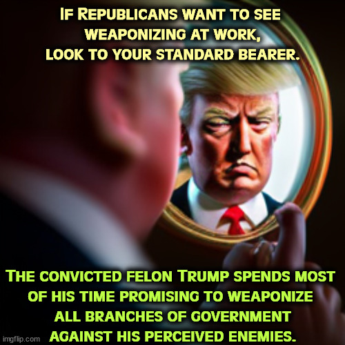 Endless revenge from the Weaponizer-In-Chief. | If Republicans want to see 
weaponizing at work, look to your standard bearer. The convicted felon Trump spends most 

of his time promising to weaponize 
all branches of government against his perceived enemies. | image tagged in convicted felon,trump,weaponize,everybody,revenge | made w/ Imgflip meme maker