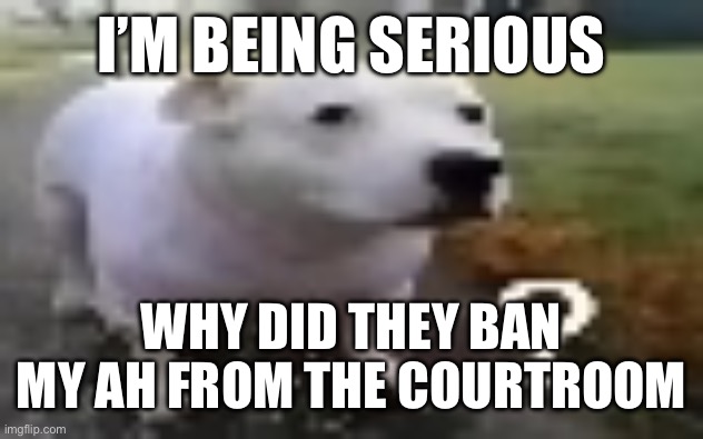 huh | I’M BEING SERIOUS; WHY DID THEY BAN MY AH FROM THE COURTROOM | image tagged in huh | made w/ Imgflip meme maker