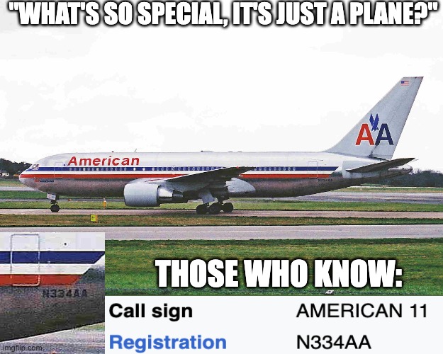 N334AA | "WHAT'S SO SPECIAL, IT'S JUST A PLANE?"; THOSE WHO KNOW: | made w/ Imgflip meme maker