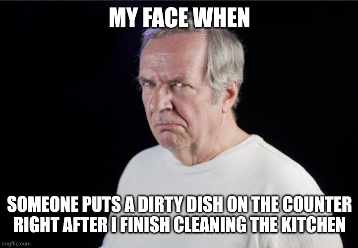 It happens every time | MY FACE WHEN; SOMEONE PUTS A DIRTY DISH ON THE COUNTER RIGHT AFTER I FINISH CLEANING THE KITCHEN | image tagged in disgusted | made w/ Imgflip meme maker