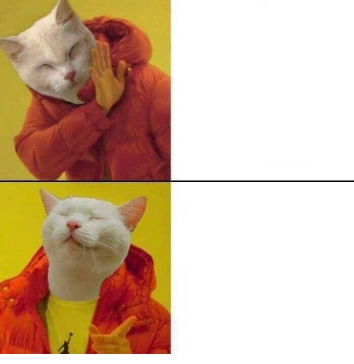 Cat meme Blank Meme Template