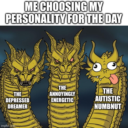 Don't have autism but it's one of my personalities | ME CHOOSING MY PERSONALITY FOR THE DAY; THE ANNOYINGLY ENERGETIC; THE AUTISTIC NUMBNUT; THE DEPRESSED DREAMER | image tagged in three-headed dragon,personality | made w/ Imgflip meme maker