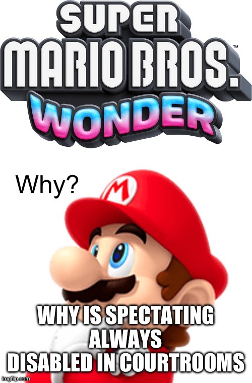 Mario wonders | WHY IS SPECTATING ALWAYS DISABLED IN COURTROOMS | image tagged in mario wonders | made w/ Imgflip meme maker