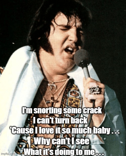 Vegas Elvis | I'm snorting some crack; I can't turn back; 'Cause I love it so much baby . . . Why can't I see; What it's doing to me . . . | image tagged in elvis,elvis presley,drugs,singing,singer,fun | made w/ Imgflip meme maker