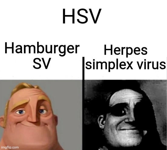 One is a Soccer club in Germany, the other is a sexually transmitted disease | HSV; Hamburger SV; Herpes simplex virus | image tagged in teacher's copy,memes,soccer,germany,herpes | made w/ Imgflip meme maker