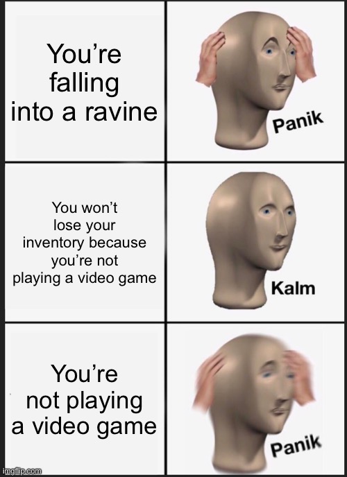 Panik Kalm Panik | You’re falling into a ravine; You won’t lose your inventory because you’re not playing a video game; You’re not playing a video game | image tagged in memes,panik kalm panik | made w/ Imgflip meme maker