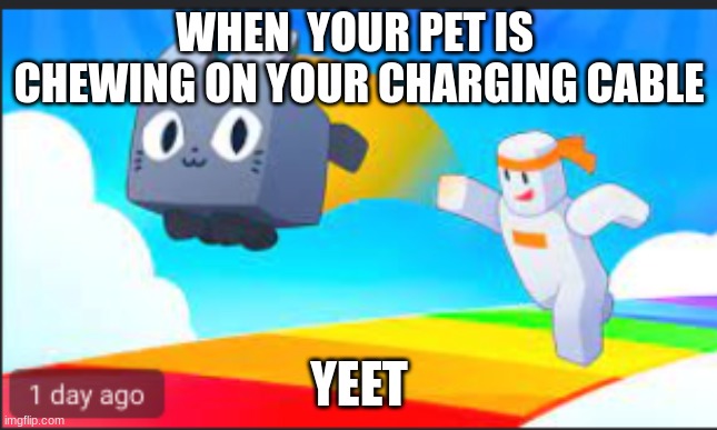 name | WHEN  YOUR PET IS  CHEWING ON YOUR CHARGING CABLE; YEET | image tagged in name | made w/ Imgflip meme maker