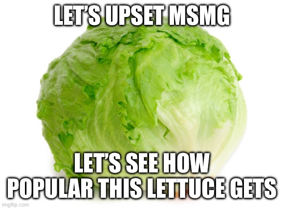 Let’s see guys | LET’S UPSET MSMG; LET’S SEE HOW POPULAR THIS LETTUCE GETS | image tagged in lettuce | made w/ Imgflip meme maker