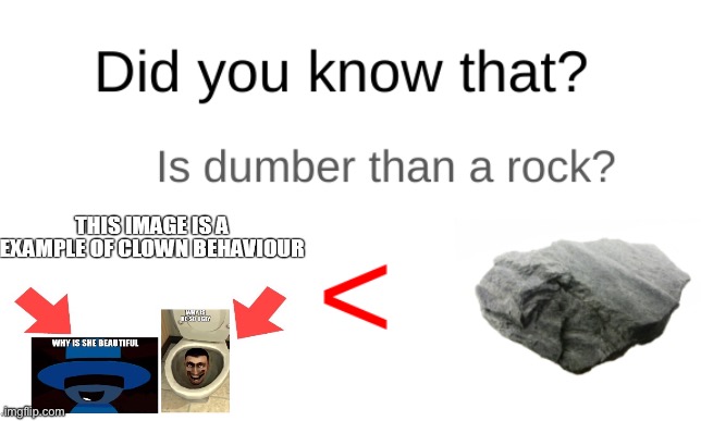 Did you know that (blank) is dumber than a rock? | image tagged in did you know that blank is dumber than a rock | made w/ Imgflip meme maker