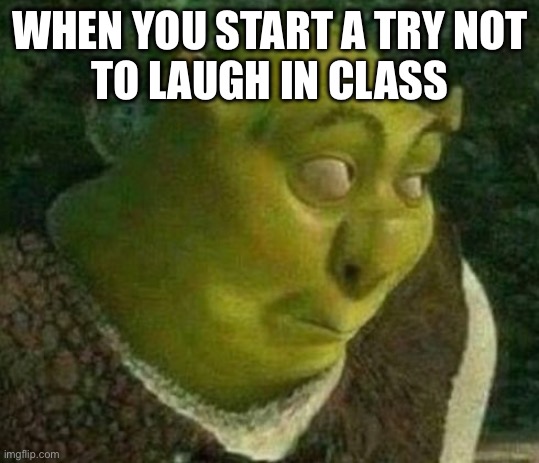 Oops shrek | WHEN YOU START A TRY NOT
TO LAUGH IN CLASS | image tagged in oops shrek | made w/ Imgflip meme maker