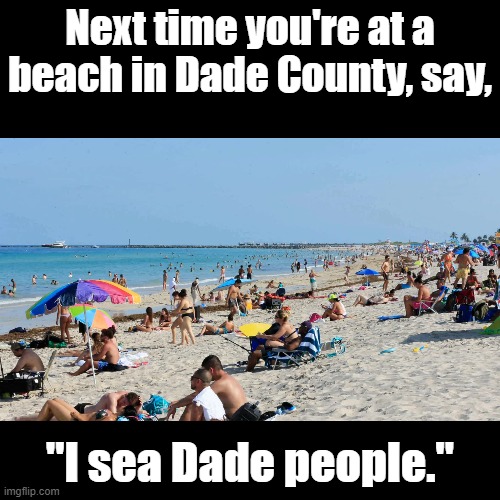 Dade County pun | Next time you're at a beach in Dade County, say, "I sea Dade people." | image tagged in black square,pun | made w/ Imgflip meme maker