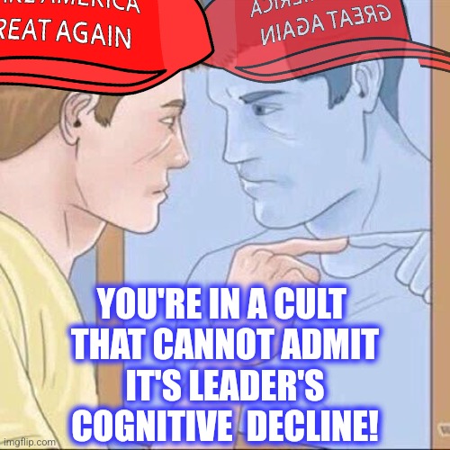 Pointing mirror guy | YOU'RE IN A CULT 
THAT CANNOT ADMIT
 IT'S LEADER'S 
COGNITIVE  DECLINE! | image tagged in pointing mirror guy | made w/ Imgflip meme maker