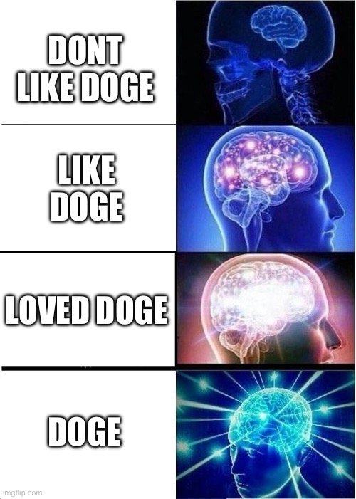 Expanding Brain | DONT LIKE DOGE; LIKE DOGE; LOVED DOGE; DOGE | image tagged in memes,expanding brain,doge | made w/ Imgflip meme maker