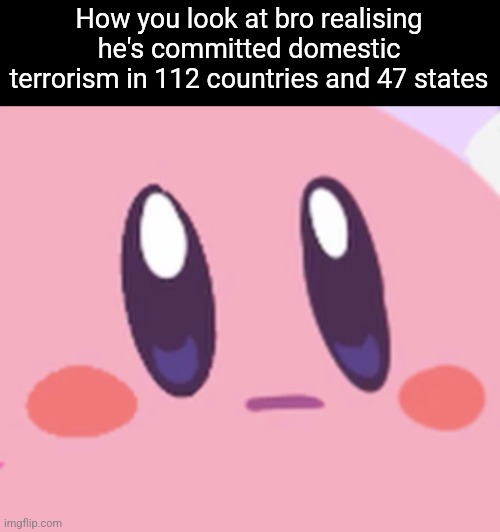 Blank Kirby Face | How you look at bro realising he's committed domestic terrorism in 112 countries and 47 states | image tagged in blank kirby face | made w/ Imgflip meme maker