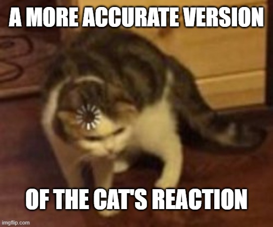 A MORE ACCURATE VERSION OF THE CAT'S REACTION | made w/ Imgflip meme maker