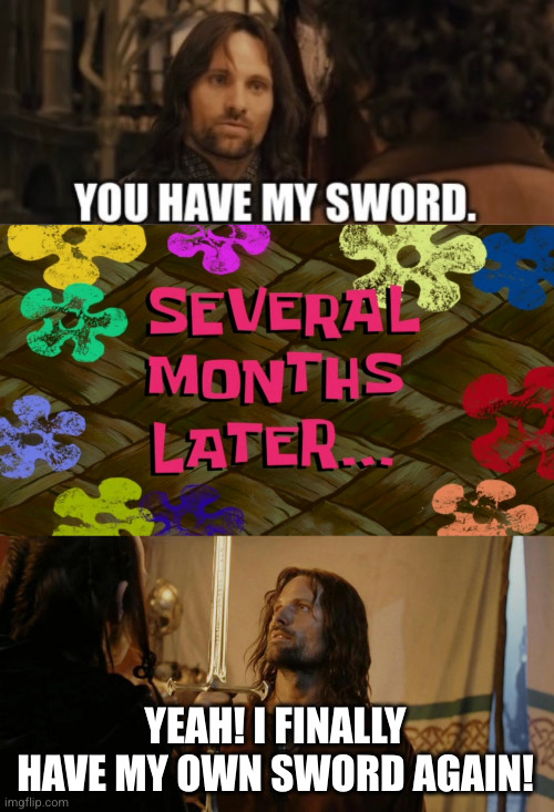 What was Frodo doing with it anyways? | YEAH! I FINALLY HAVE MY OWN SWORD AGAIN! | image tagged in you have my sword and you have my bow and my x,aragorn receives sword | made w/ Imgflip meme maker