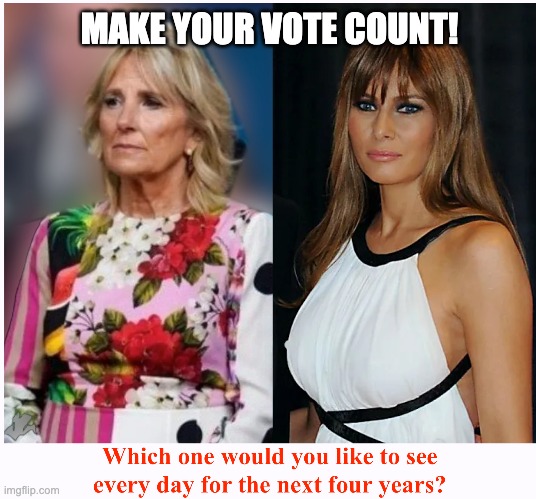 No Contest | MAKE YOUR VOTE COUNT! | image tagged in melania or jill | made w/ Imgflip meme maker