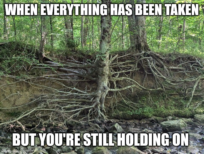 Holding on | WHEN EVERYTHING HAS BEEN TAKEN; BUT YOU'RE STILL HOLDING ON | image tagged in loss,grief,depression,hope,nature,tree | made w/ Imgflip meme maker