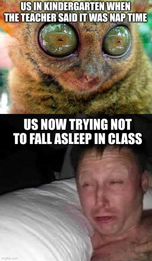 The one grade we did not want to sleep was the grade that got nap time | US IN KINDERGARTEN WHEN THE TEACHER SAID IT WAS NAP TIME; US NOW TRYING NOT TO FALL ASLEEP IN CLASS | image tagged in no sleep for lemur,sleepy guy,school,sleep | made w/ Imgflip meme maker