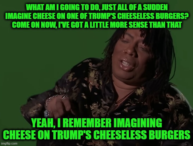 WHAT AM I GOING TO DO, JUST ALL OF A SUDDEN IMAGINE CHEESE ON ONE OF TRUMP'S CHEESELESS BURGERS? COME ON NOW, I'VE GOT A LITTLE MORE SENSE T | made w/ Imgflip meme maker