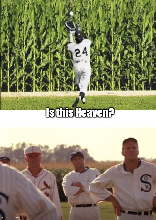 Say Hey | Is this Heaven? | image tagged in funny | made w/ Imgflip meme maker