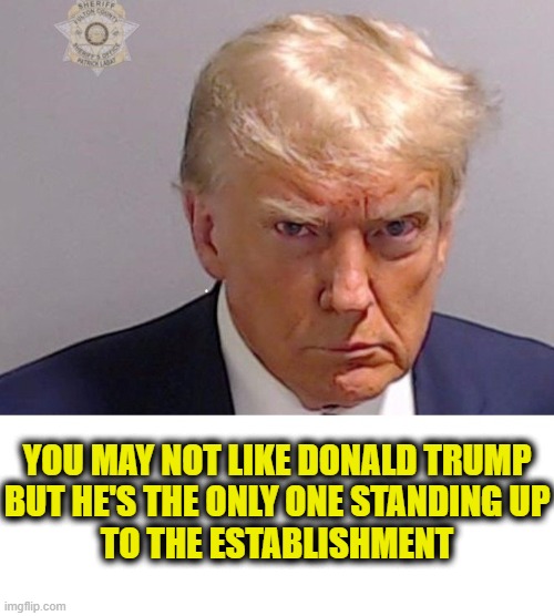 Unlikely Hero | YOU MAY NOT LIKE DONALD TRUMP
BUT HE'S THE ONLY ONE STANDING UP
TO THE ESTABLISHMENT | image tagged in donald trump | made w/ Imgflip meme maker