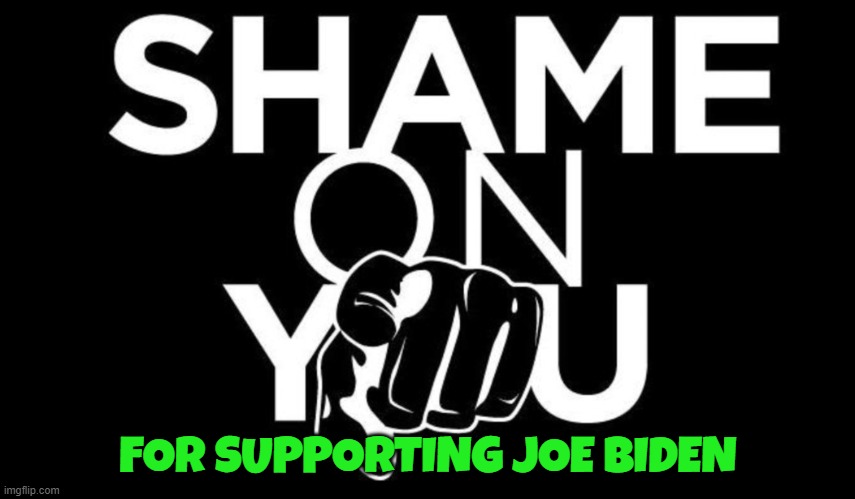 Shame Shame Shame | FOR SUPPORTING JOE BIDEN | image tagged in fjb,2024,maga,make america great again,joe biden,shame | made w/ Imgflip meme maker