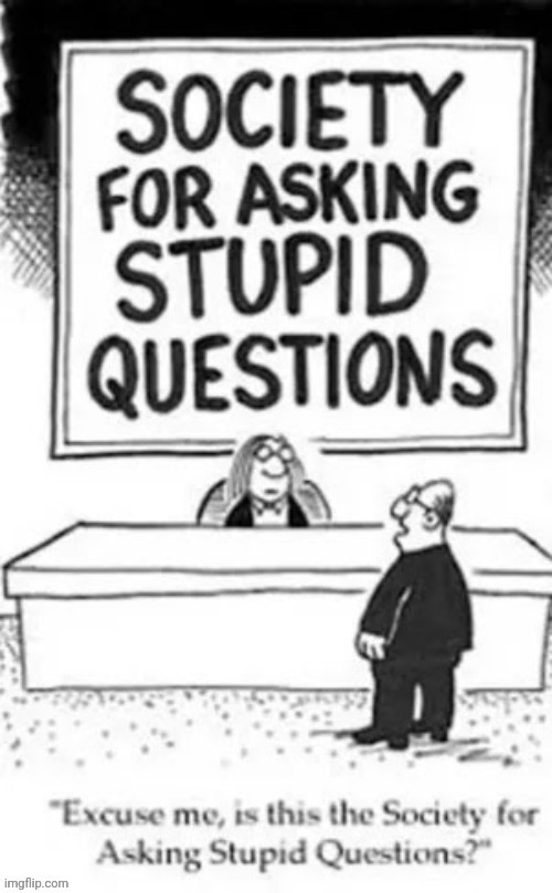 Stupid Questions | image tagged in stupid questions | made w/ Imgflip meme maker