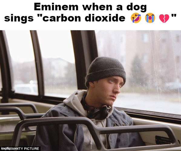 Depressed Eminem | Eminem when a dog sings "carbon dioxide ???" | image tagged in depressed eminem | made w/ Imgflip meme maker