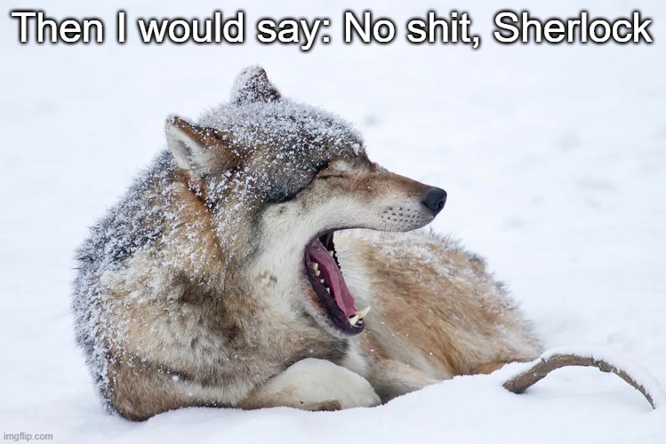 Yawning wolf | Then I would say: No shit, Sherlock | image tagged in yawning wolf | made w/ Imgflip meme maker