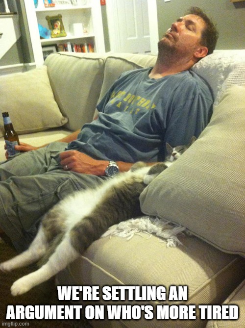 memes by Brad - Who's more tired? Me or my cat. | WE'RE SETTLING AN ARGUMENT ON WHO'S MORE TIRED | image tagged in funny,cats,funny cat memes,kitten,humor,cute kitten | made w/ Imgflip meme maker