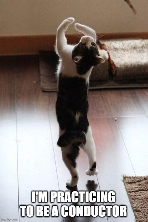 memes by Brad - My cat thinks he's a music conductor | I'M PRACTICING TO BE A CONDUCTOR | image tagged in funny,cats,funny cat memes,cute kitten,humor,kittens | made w/ Imgflip meme maker