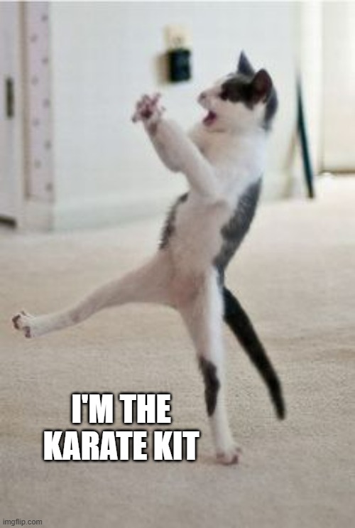 meme by Brad - I call my cat The Karate Kit | I'M THE KARATE KIT | image tagged in funny,cats,cute kittens,funny cats,karate,humor | made w/ Imgflip meme maker