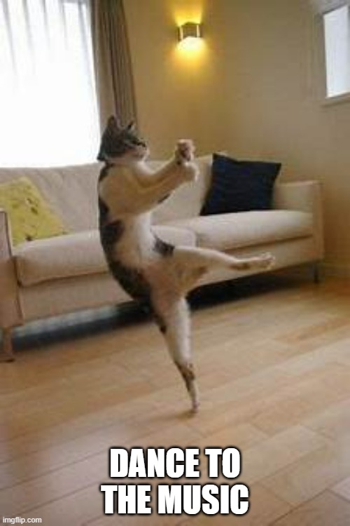 memes by Brad - My cat likes to dance to the music | DANCE TO THE MUSIC | image tagged in funny,cats,cute kittens,funny cat memes,kitten,humor | made w/ Imgflip meme maker