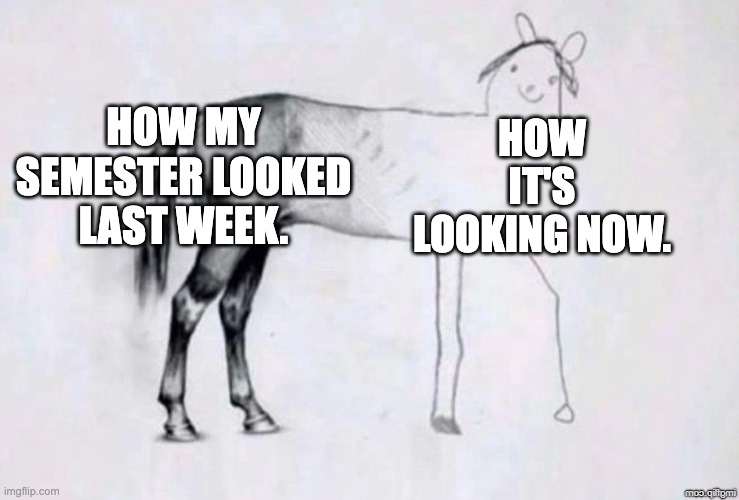 Horse Drawing | HOW MY SEMESTER LOOKED LAST WEEK. HOW IT'S LOOKING NOW. | image tagged in horse drawing | made w/ Imgflip meme maker