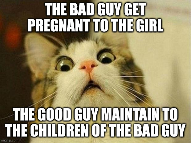 good guy | THE BAD GUY GET PREGNANT TO THE GIRL; THE GOOD GUY MAINTAIN TO THE CHILDREN OF THE BAD GUY | image tagged in memes,scared cat | made w/ Imgflip meme maker