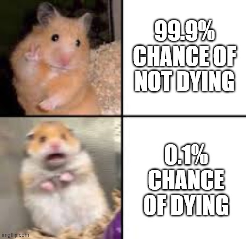 scared hamster | 99.9% CHANCE OF NOT DYING; 0.1% CHANCE OF DYING | image tagged in scared hamster | made w/ Imgflip meme maker