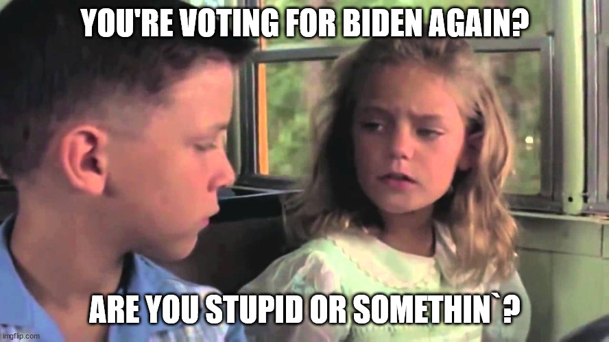 Stupid is as Stupid does | YOU'RE VOTING FOR BIDEN AGAIN? ARE YOU STUPID OR SOMETHIN`? | image tagged in are you stupid or something | made w/ Imgflip meme maker