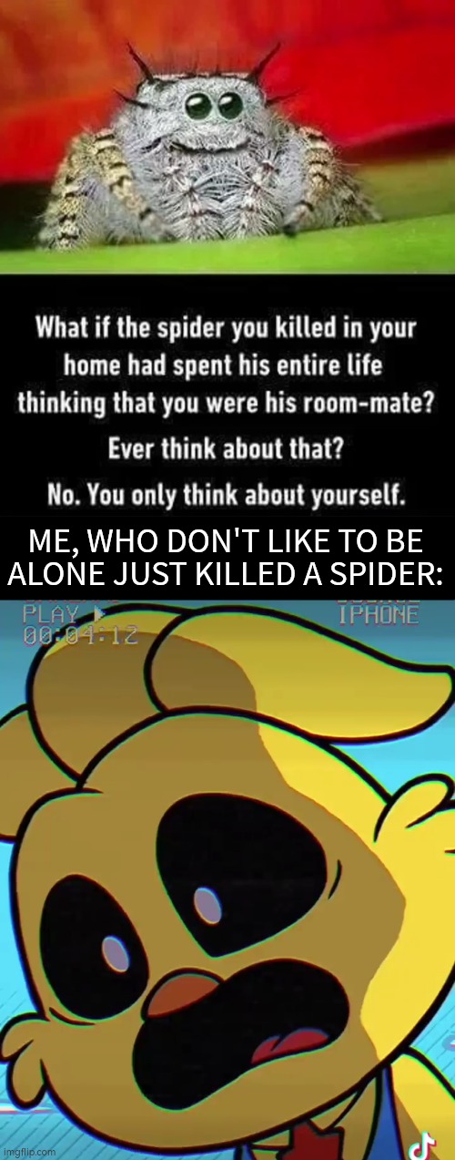 What have i done? | ME, WHO DON'T LIKE TO BE ALONE JUST KILLED A SPIDER: | image tagged in spider | made w/ Imgflip meme maker