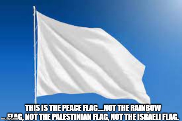 This is the peace flag, if you want peace, this is the flag you wave. | THIS IS THE PEACE FLAG....NOT THE RAINBOW FLAG, NOT THE PALESTINIAN FLAG, NOT THE ISRAELI FLAG. | image tagged in peace,israel,gaza | made w/ Imgflip meme maker